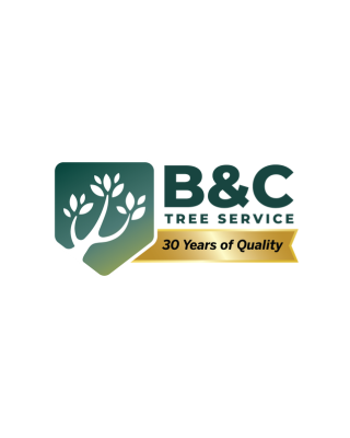 B&C Tree Services
